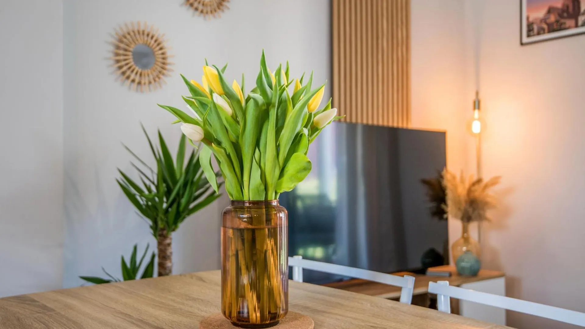 Appartement Le Petit Olemps France